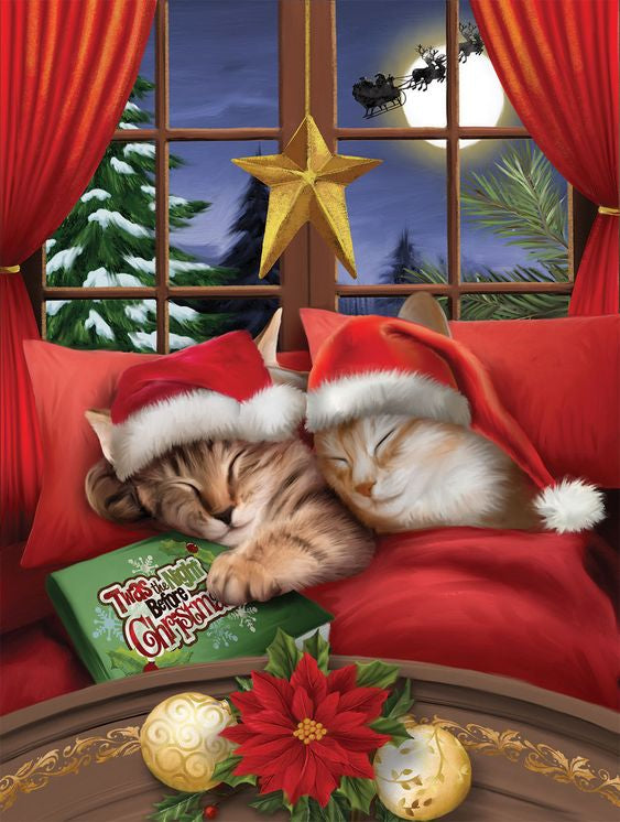 Paint By Numbers Kit - Christmas Cat