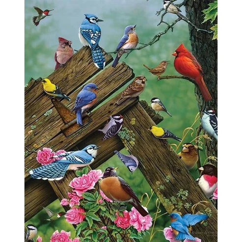 Paint By Numbers Kit - Resting Birds