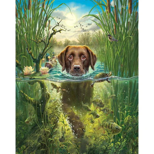 Paint By Numbers Kit - Swimming Dog