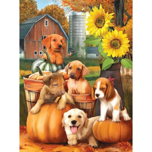 Paint By Numbers Kit - Pumpkin Dog