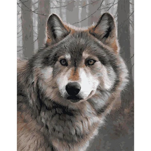 Paint By Numbers Kit - Gray Wolf