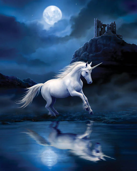 Paint By Numbers Kit - Moonlight Unicorn