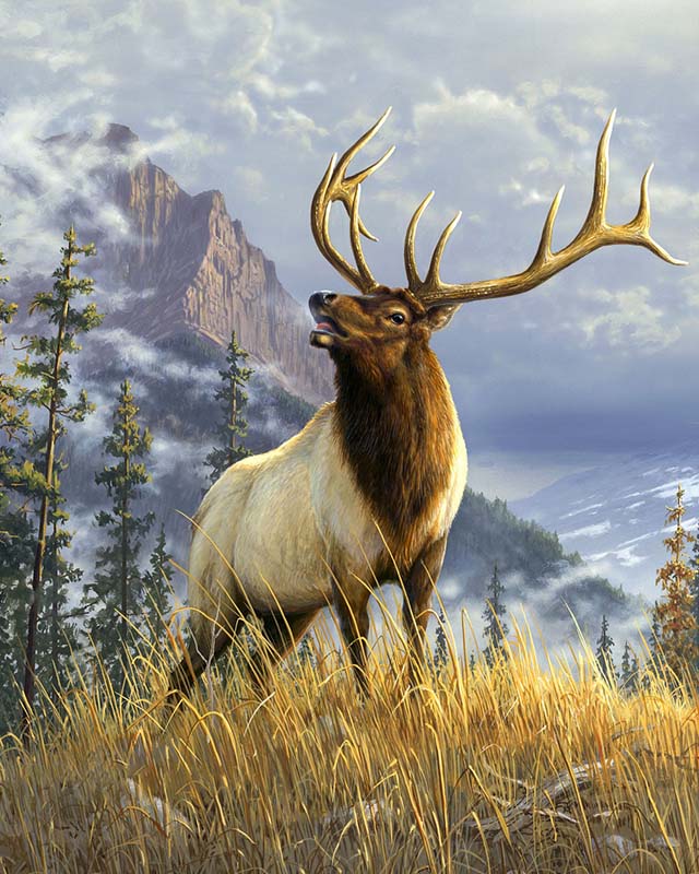 Paint By Numbers Kit - High Mountain Elk