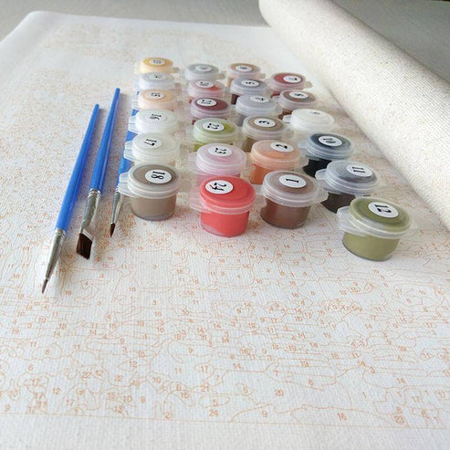 Paint By Numbers Kit - Flowers Eye