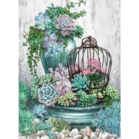 Paint By Numbers Kit - Succulent Plants