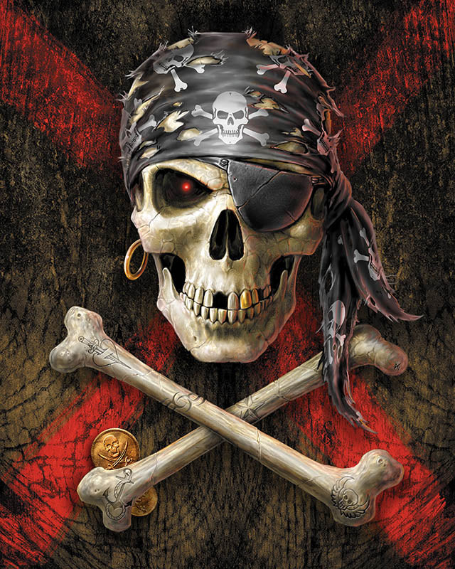 Paint By Numbers Kit - Pirate Skull